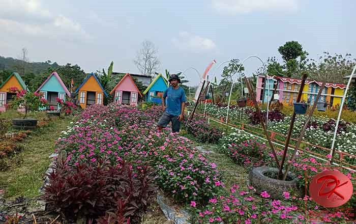 Foto: Agrowisata Swargo Tani milik desa Tani Bhakti Kecamatan Loa Janan. (Istimewa)