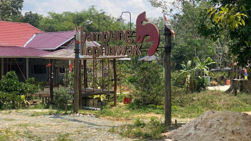 Foto: Wisata Kampung Kopi Luwak, Desa Prangat Baru, Kecamatan Marangkayu, Kabupaten Kukar.